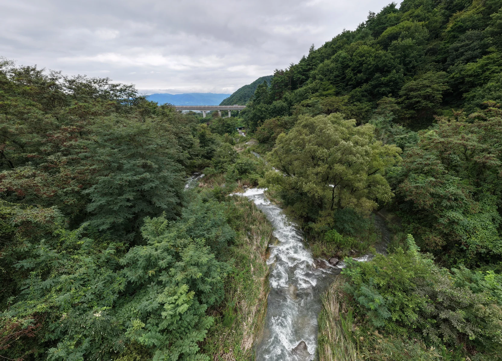 山々と緑に囲まれた川沿いの現地写真